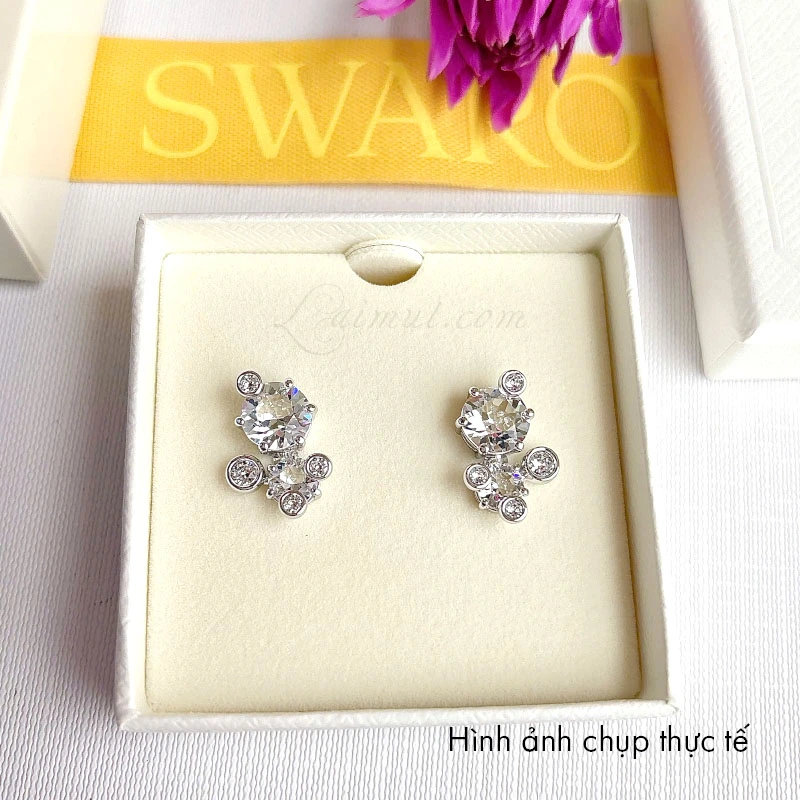 Bông Tai Swarovski Chính Hãng Constella Stud Earrings 5732253