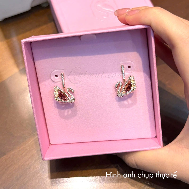 Bông Tai Swarovski Chính Hãng Dancing Swan Earrings 5614124