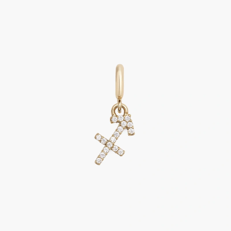Charm Cung Hoàng Đạo Daniel Wellington DW01500009 Zodiac Watch Gold