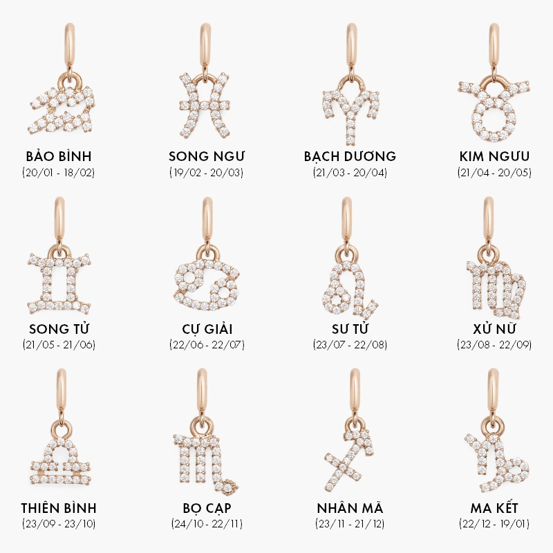 Charm Cung Hoàng Đạo Daniel Wellington Zodiac Watch RG
