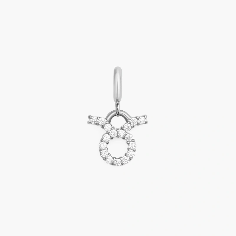 Charm Cung Hoàng Đạo Daniel Wellington DW01500026 Zodiac Watch Silver