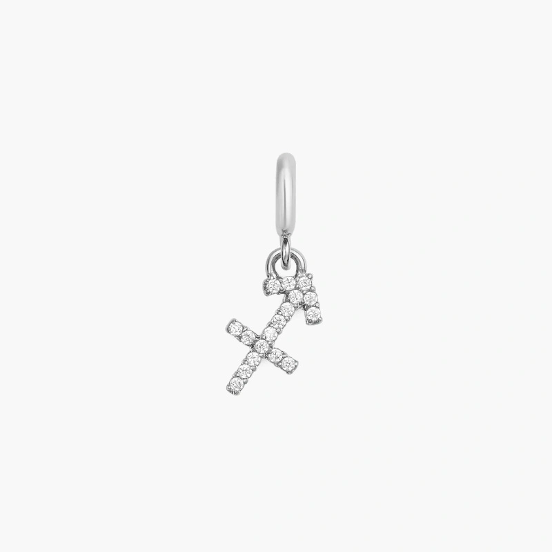Charm Cung Hoàng Đạo Daniel Wellington DW01500033 Zodiac Watch Silver