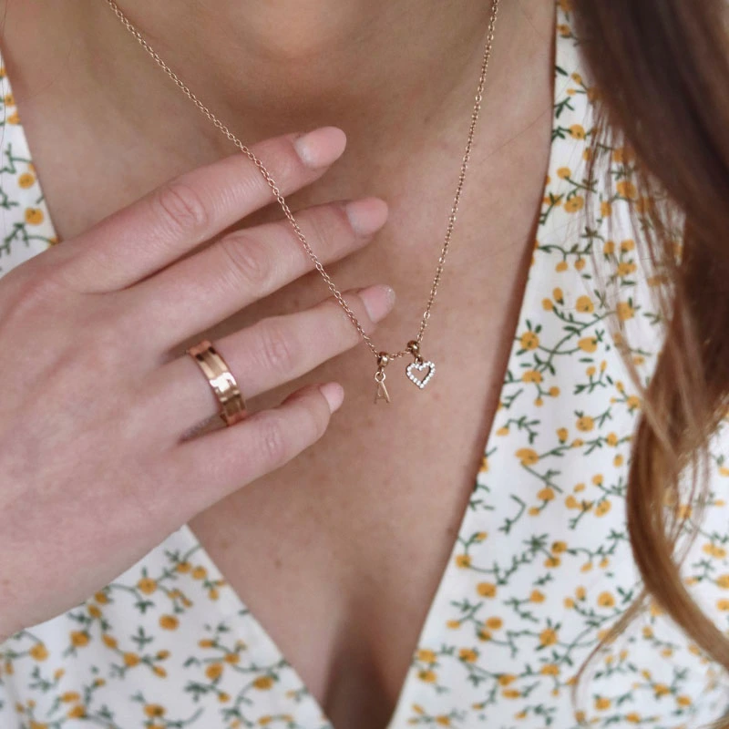 Dây Chuyền Charm Daniel Wellington Charms Chain DW00400396