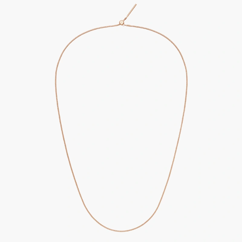 Dây Chuyền Charm Daniel Wellington Snake DW00400398