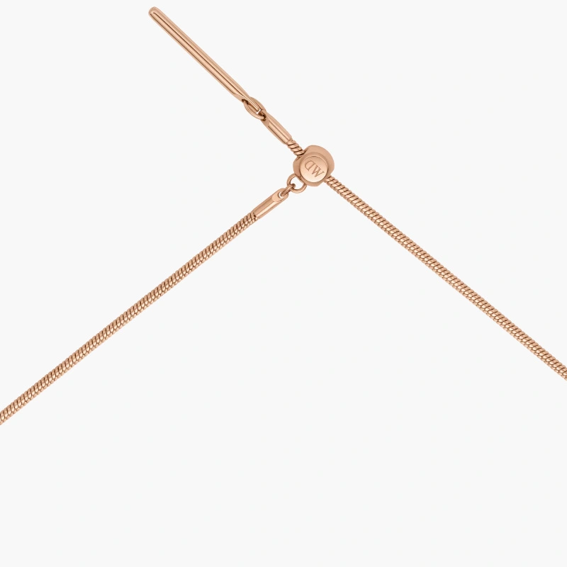 Dây Chuyền Charm Daniel Wellington Snake DW00400398