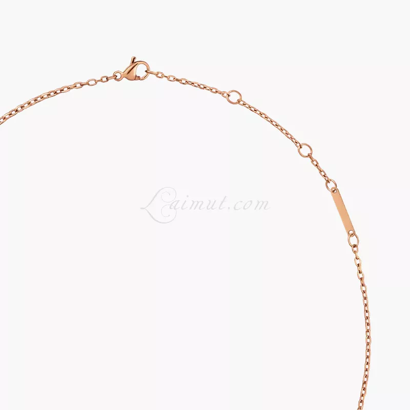 Dây Chuyền Daniel Wellington Chính Hãng Elevation Necklace - Hình ảnh 8