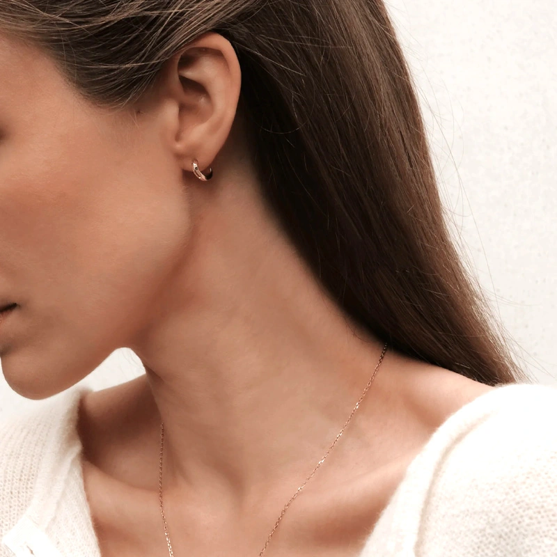 Khuyên tai Daniel Wellington Chính Hãng DW00400146 Elan Earrings
