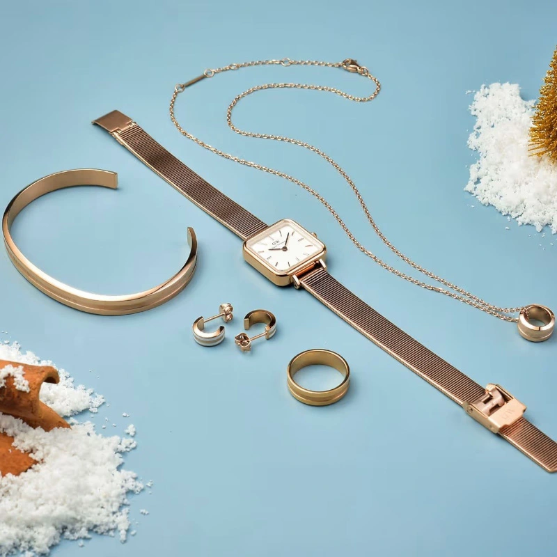 Khuyên tai Daniel Wellington Chính Hãng DW00400148 Emalie Necklace