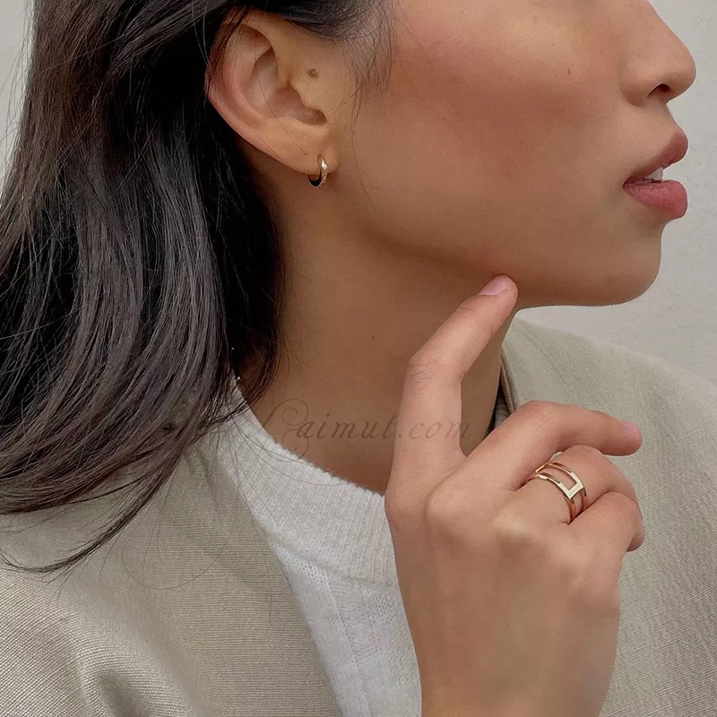 Khuyên tai Daniel Wellington Chính Hãng Elan Earrings
