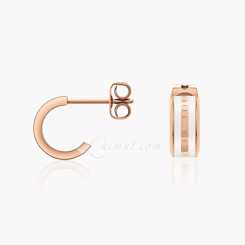 Khuyên tai Daniel Wellington Chính Hãng Emalie Earrings - Hình ảnh 2
