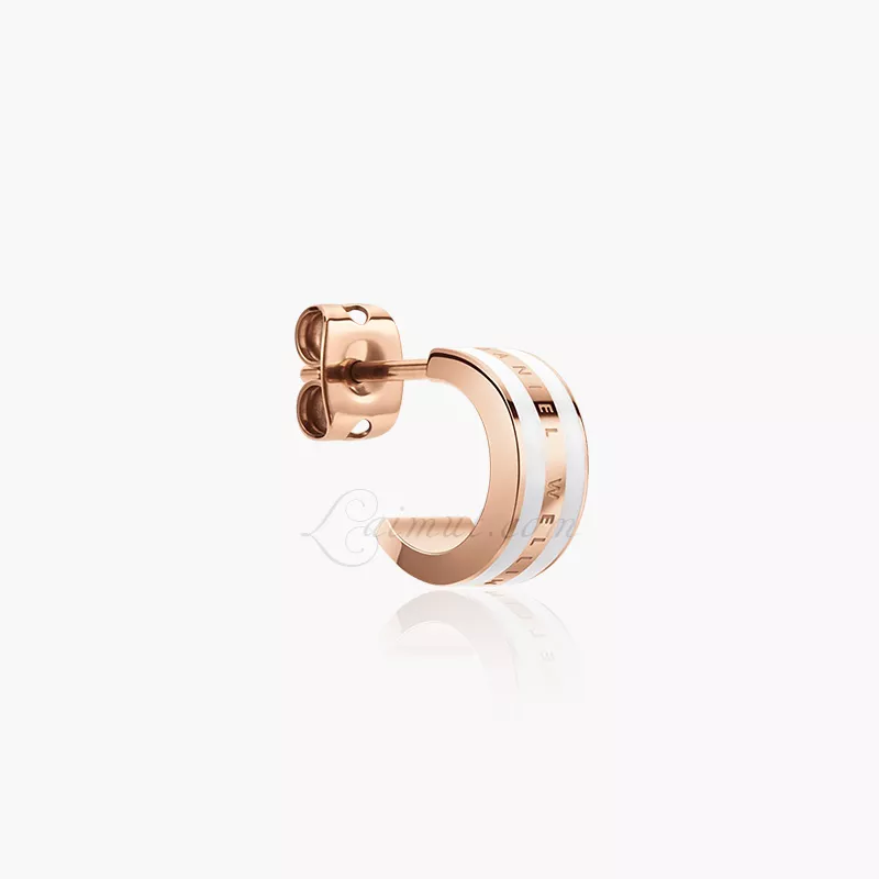 Khuyên tai Daniel Wellington Chính Hãng Emalie Earrings - Hình ảnh 3