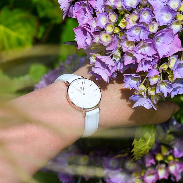 Daniel Wellington Petite Bondi Montre Femme Blanc/Or Rose - Bracelet Cuir 14mm