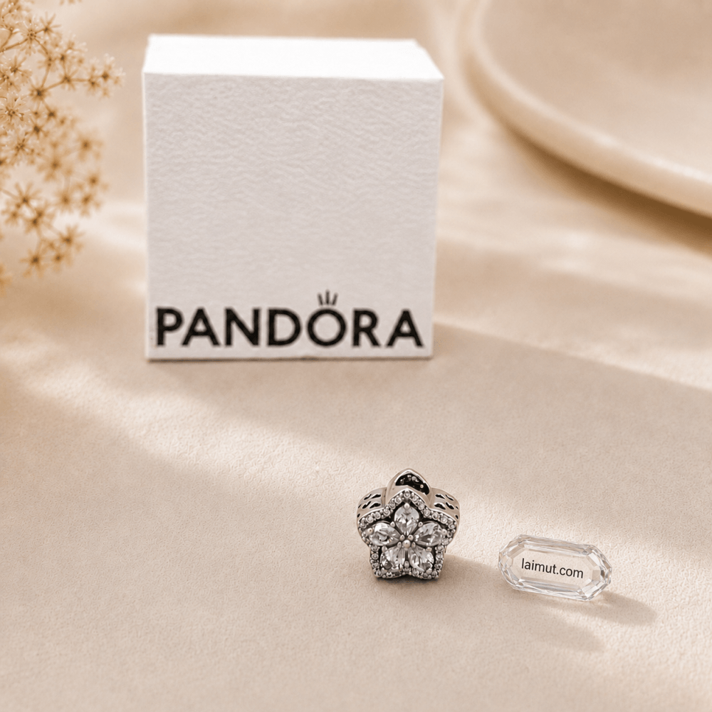 Charm Pandora 799224C01 Sparkling Snowflake Pavé Charm | Laimut | Ảnh chụp thực tế fullbox
