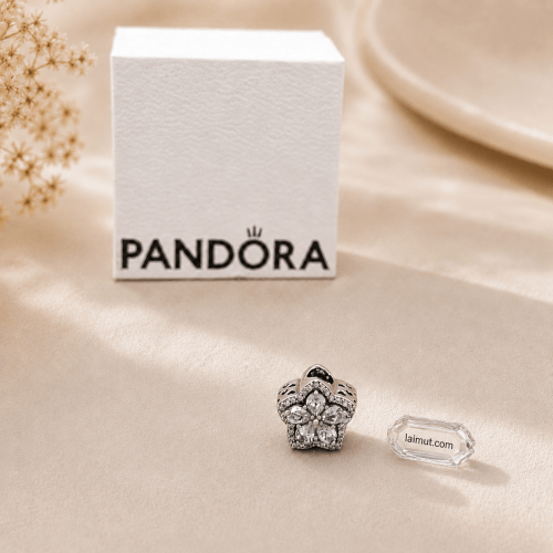 Charm Pandora 799224C01 Sparkling Snowflake Pavé Charm | Laimut | Ảnh chụp thực tế fullbox
