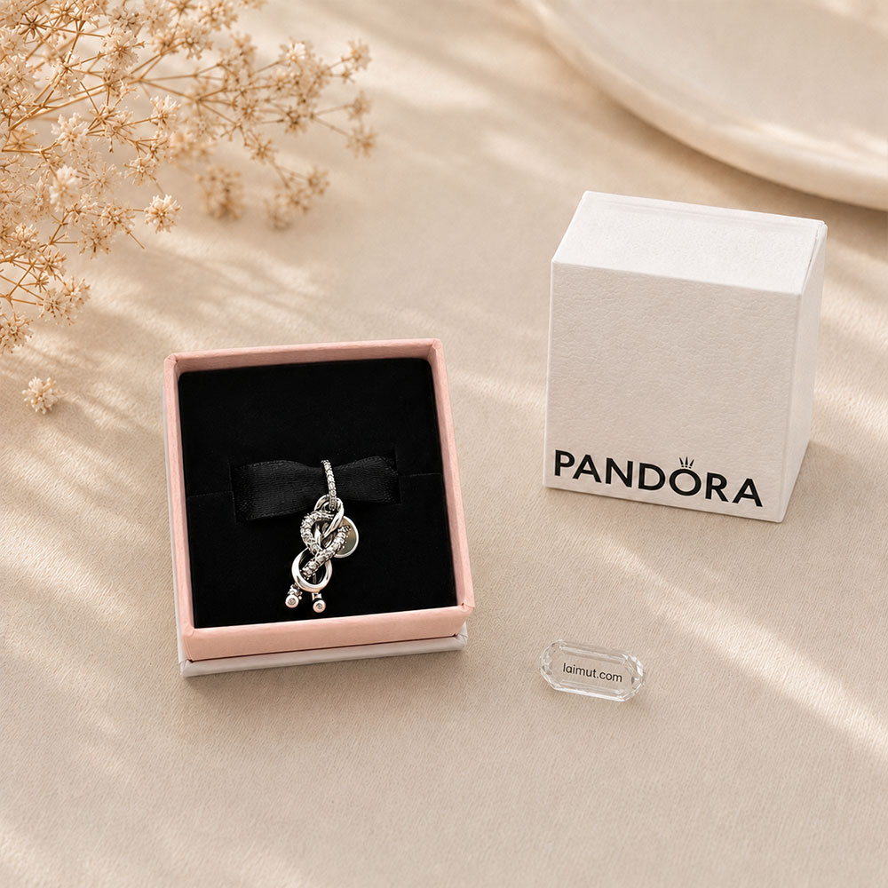 Charm Pandora 793780C01 Pavé Infinity Knot Dangle Charm | Laimut | Ảnh chụp thực tế fullbox