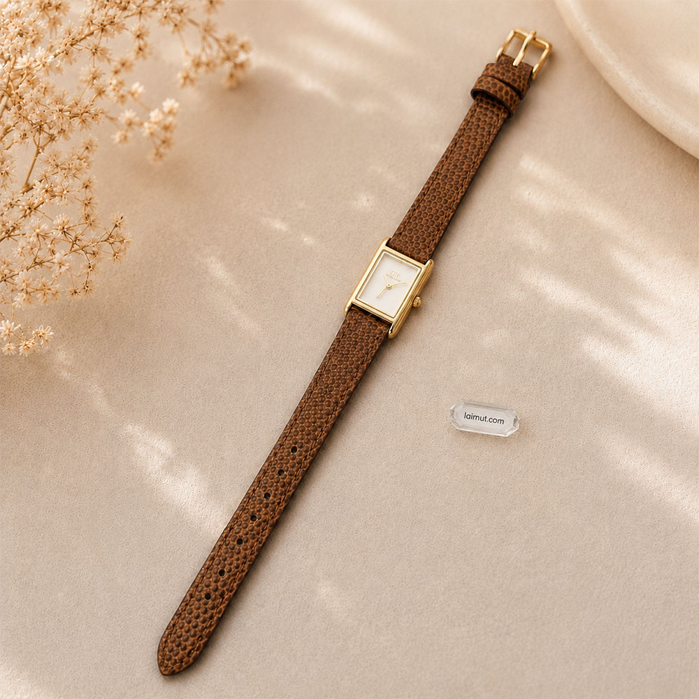Đồng hồ Daniel Wellington DW00100905 chụp thật toàn bộ