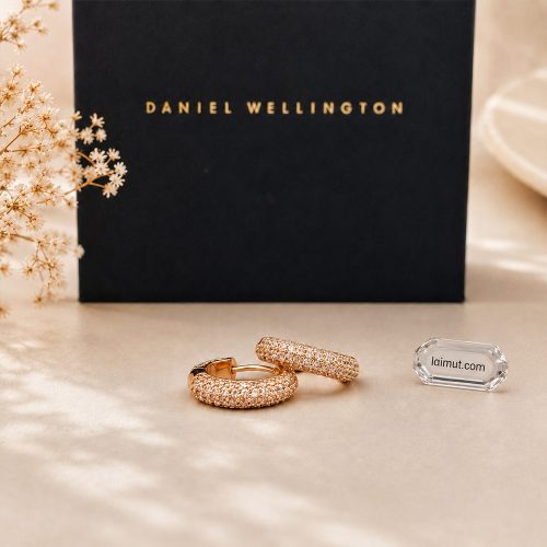 Mặt trước Khuyên tai Daniel Wellington DW00400627 Pavé Crystal