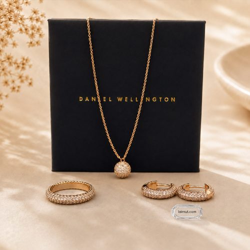 Khuyên tai Daniel Wellington DW00400627 chụp thật toàn bộ