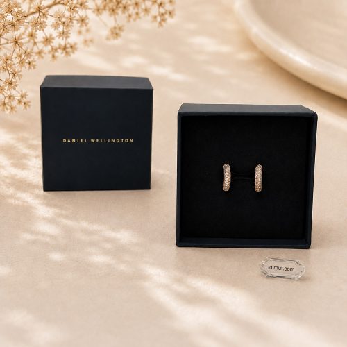 Khuyên tai Daniel Wellington DW00400627 fullbox chính hãng tại Laimut