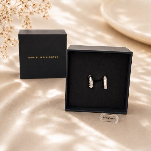 Khuyên tai Daniel Wellington DW00400657 fullbox chính hãng tại Laimut
