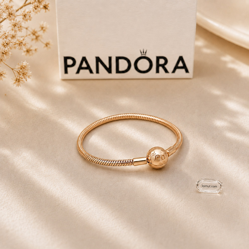Vòng charm Pandora 580728 Moments Snake Chain Bracelet | Laimut | Ảnh chụp thực tế