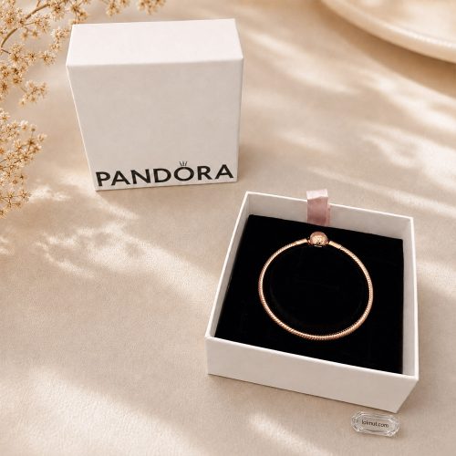 Vòng charm Pandora 580728 Moments Snake Chain Bracelet | Laimut | Ảnh chụp thực tế fullbox