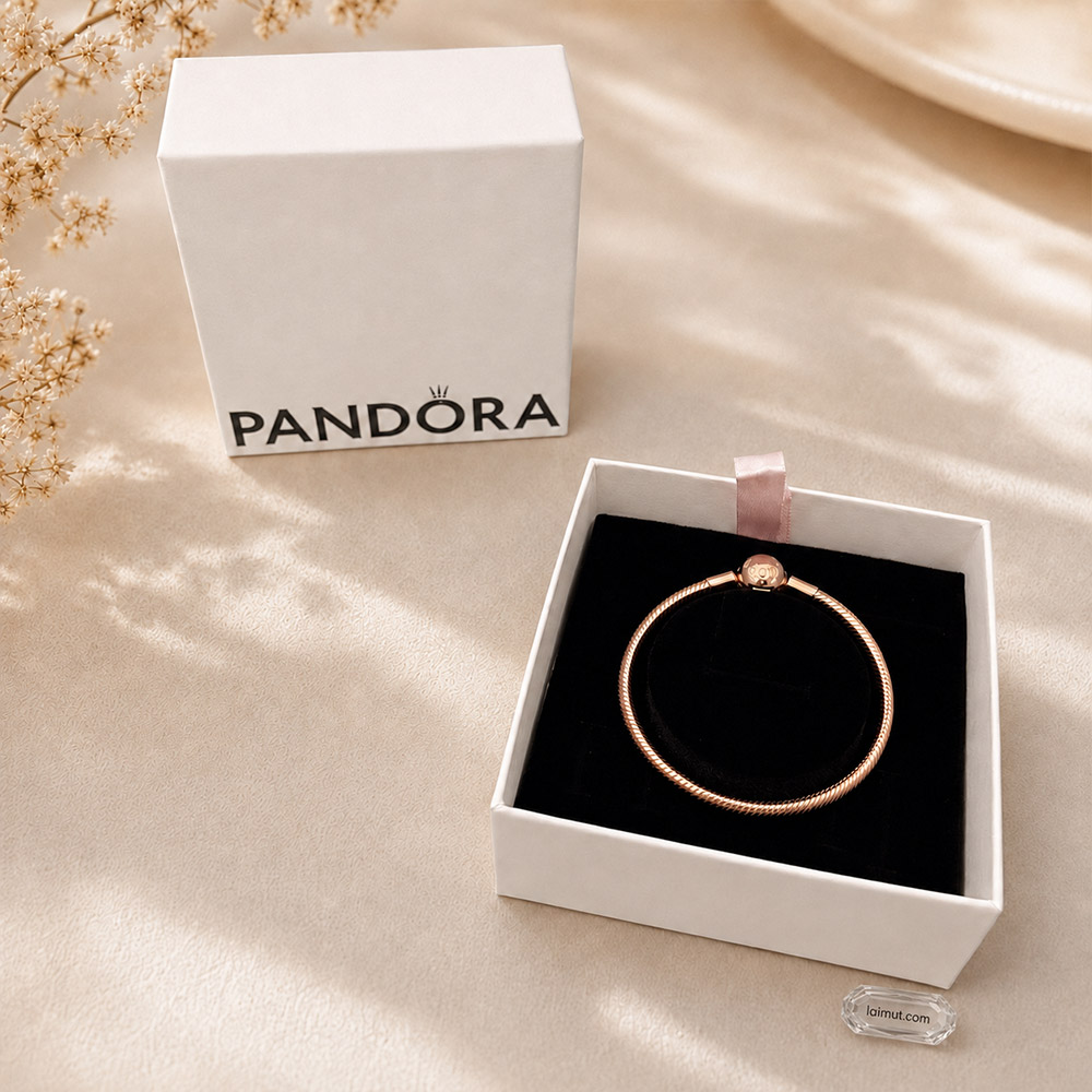 Vòng charm Pandora 580728 Moments Snake Chain Bracelet | Laimut | Ảnh chụp thực tế fullbox
