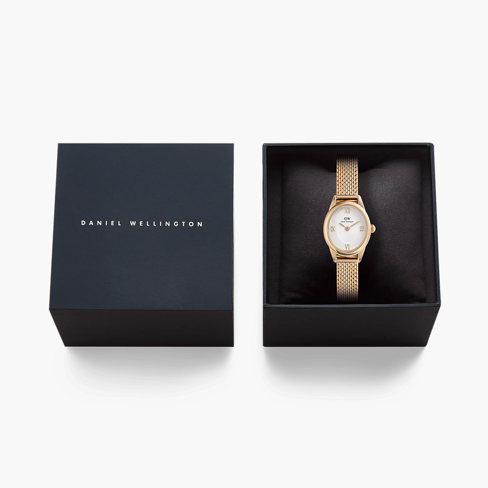 Đồng hồ Daniel Wellington DW00100940 Ophelia Mini Mesh White Rose Gold