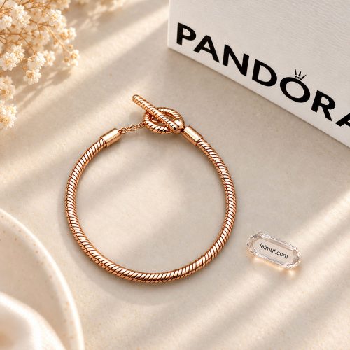 Ảnh thực tế vòng charm Pandora Moments T-Bar Snake Chain 589087C00 tại Laimut