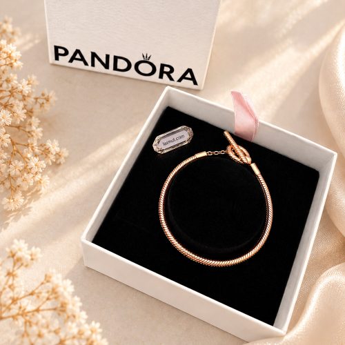 Vòng charm Pandora Moments T-Bar Snake Chain 589087C00 fullbox