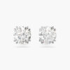 Bông Tai Swarovski Chính Hãng Stilla Stud Earrings 5648992