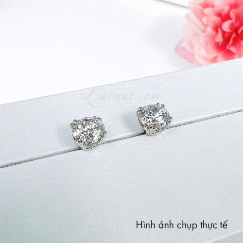 Bông Tai Swarovski Chính Hãng Stilla Stud Earrings 5648992