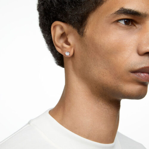 Bông Tai Swarovski Chính Hãng Stilla Stud Earrings 5648992