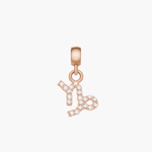 Charm Cung Hoàng Đạo Daniel Wellington Ma Kết DW00400741
