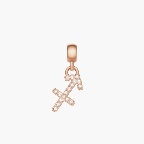 Charm Cung Hoàng Đạo Daniel Wellington Nhân Mã DW00400743