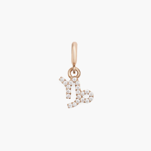 Charm Cung Hoàng Đạo Daniel Wellington Ma Kết DW01500022