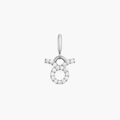 Charm Cung Hoàng Đạo Daniel Wellington DW01500026 Zodiac Watch Silver