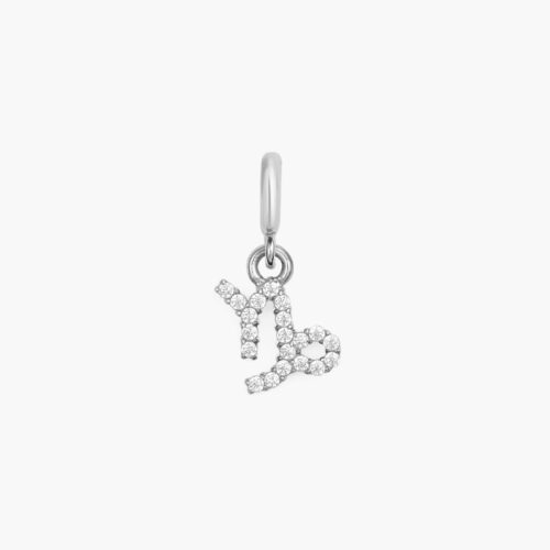 Charm Cung Hoàng Đạo Daniel Wellington DW01500034 Zodiac Watch Silver