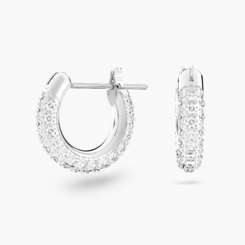 Hoa Tai Swarovski Chính Hãng Stone Hoop Earrings 5446004
