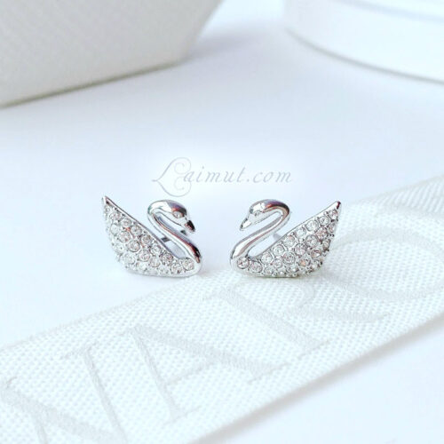 Bông tai Swarovski 5207668E chính hãng | Swan Pavé Stud Earrings | Ảnh chụp thật 01