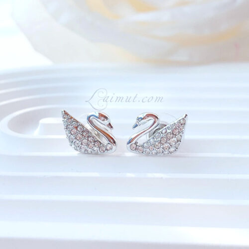 Bông tai Swarovski 5207668E chính hãng | Swan Pavé Stud Earrings | Ảnh chụp thật 02