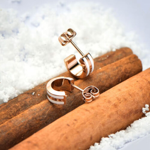 Khuyên tai Daniel Wellington Chính Hãng DW00400148 Emalie Necklace