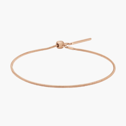 Lắc Tay Charm Daniel Wellington Charms Snake DW00400394