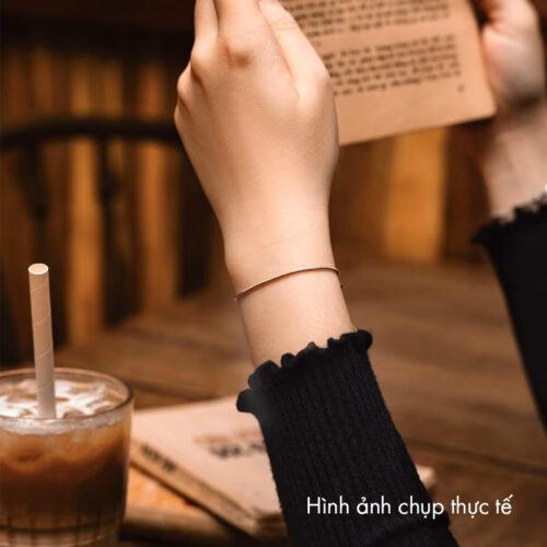 Lắc Tay Charm Daniel Wellington Charms Snake DW00400394